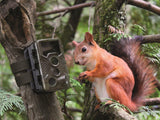 Technaxx Nature Wild 8MP camera for indoor and outdoor use - PIR sensor, IR LED for night shots, 1080p video, 2.4" TFT screen, IP56 protection - Nature Wild Cam TX-125