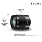 Panasonic LUMIX H-FSA14140 II - Objetivo Tele Zoom para cámaras de Montura M4/3 (Focal 14-140 mm, F3.5-F5.6, tamaño Filtro 58 mm, Power O.I.S), Negro