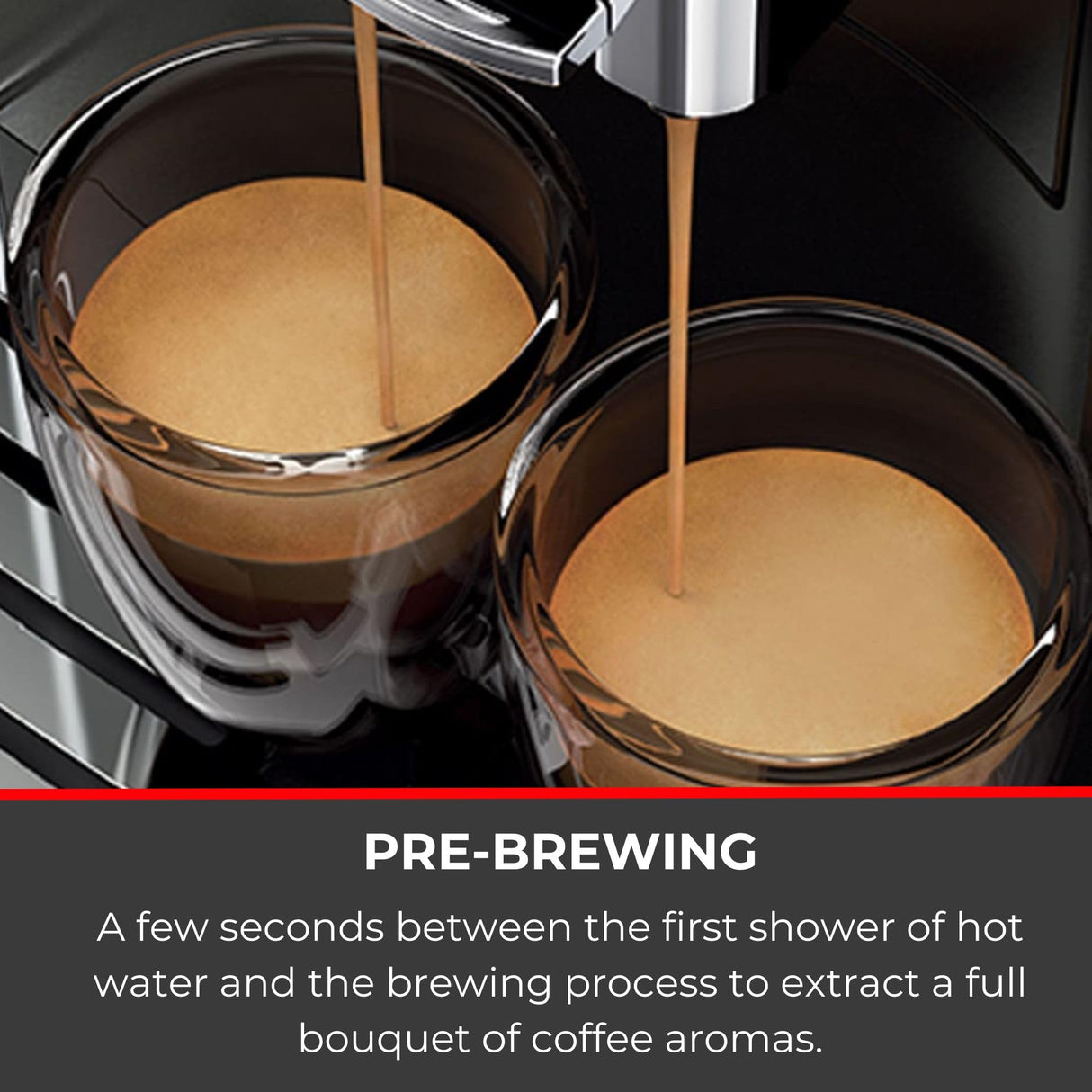 Gaggia RI8759/01 Anima Class Bean to Cup Fully Automatic Coffee Machine, Stainless Steel