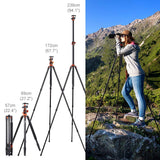 K&F CONCEPT 240cm Trípode de Cámara, Trípode Video Profesional con Columna Central Transversal con Rótula de Bola Panorámica y Placa de Liberación para DSLR Cámara T254A8+BH-28L(SA254T1)