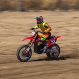 LOSI RC Promoto-MX 1/4 Motorcycle RTR (Battery and Charger Not Included), FXR, LOS06000T1, Red