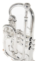 Roy Benson Bb-Cornet CR-302S (corneta profesional con diámetro ML, campana de latón de 119 mm, tudel de latón dorado, correderas exteriores de alpaca y válvulas de acero inoxidable), plateado