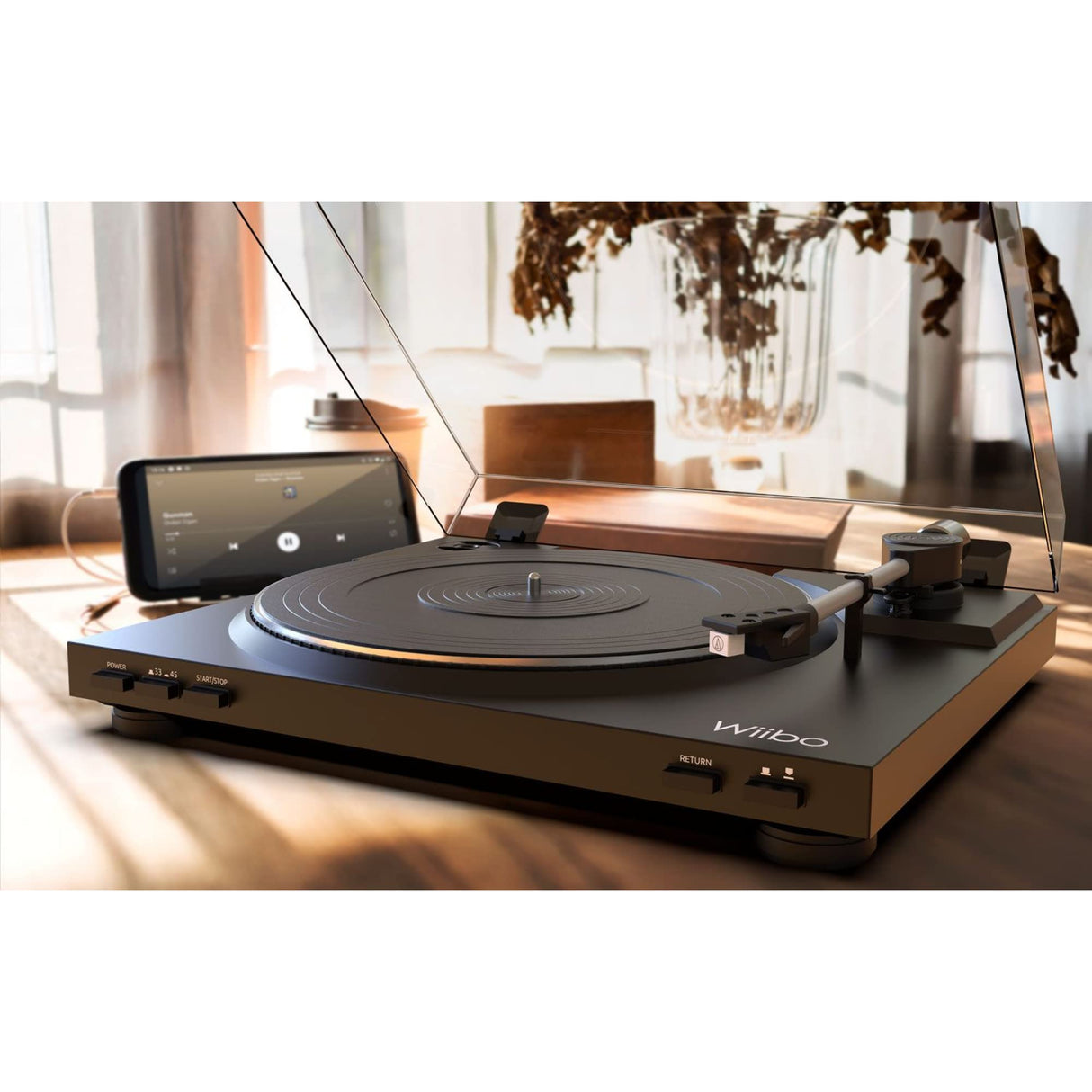 Wiibo Lyra 100 USB Plato Giradiscos con Previo Phono y Cápsula Audio Technica Premium