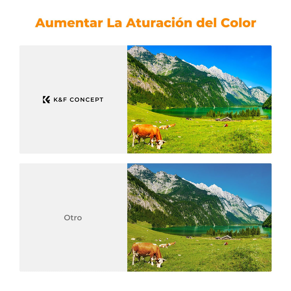 K&F CONCEPT Nano-X Pro 67mm Filtro Polarizador Circular Filtro CPL con Marco de Cobre Vidrio Óptico con 36 Capas Revestimiento Nano para Objetivo