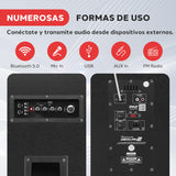 PYLE Altavoz Bluetooth, PA, 2000W, Portatil, Recargable, Exteriores, Subwoofer de 10”, Tweeter de 1”, función de grabación, micrófono, Luces de Fiesta, Radio USB/SD
