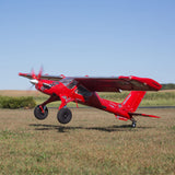 E-Flite Aviones Multicolor EFL12550