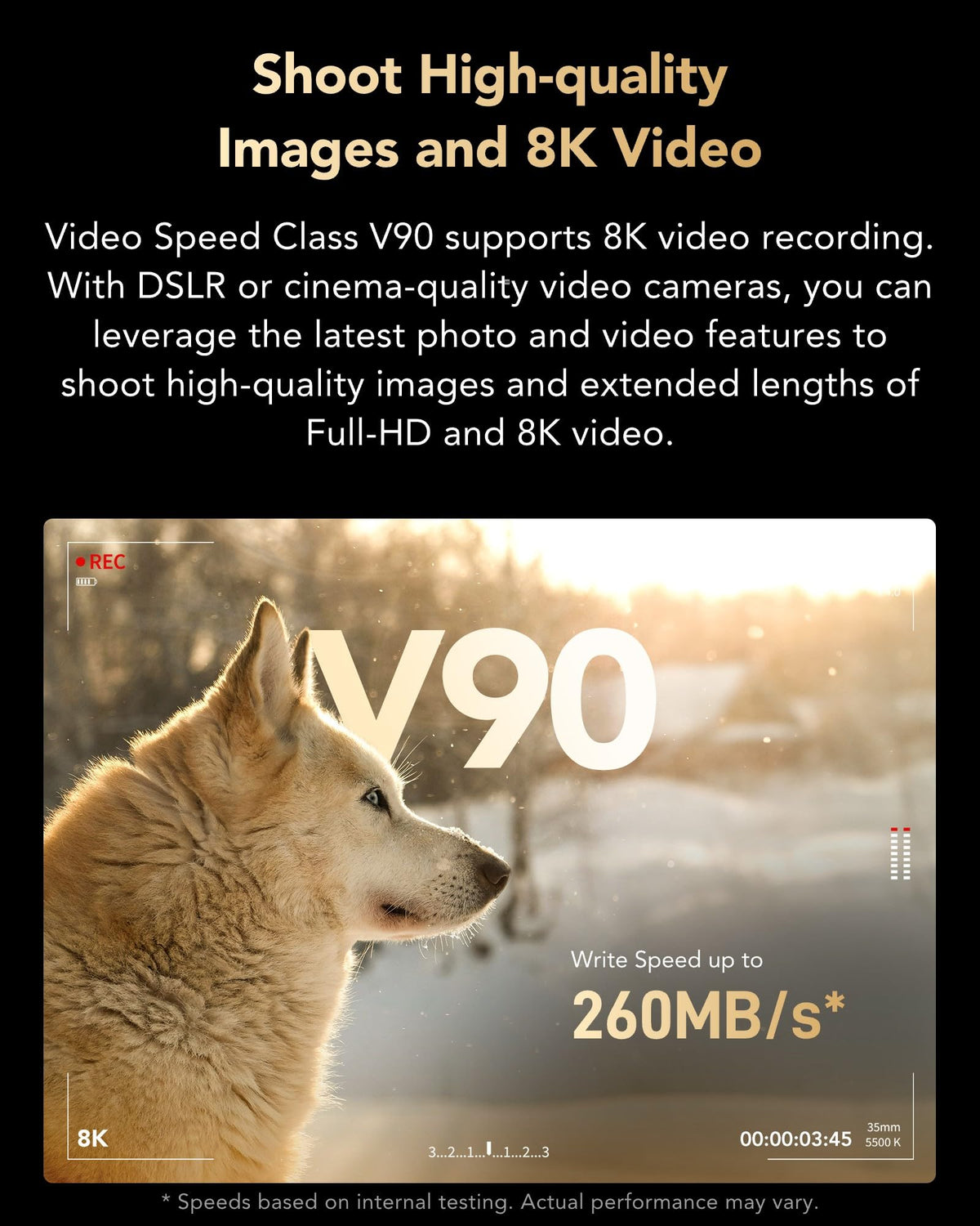 Lexar Profesional 2000x Tarjeta SD de 512 GB, SDXC UHS-II sin Lector, hasta 300 MB/s de reproducción, para DSLR, cámaras de vídeo en Calidad de Cine