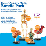 Learning Resources Set de Modelos anatómicos