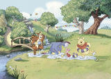 Komar WTD - Papel pintado fotográfico para habitación infantil (350 x 250 cm), diseño de Winnie the Pooh
