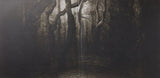 Blackwater Park [Vinilo]