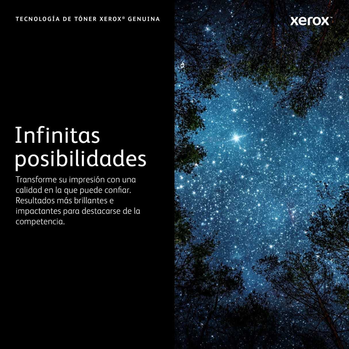 Xerox Original Versalink C400 / C405 Negro Cartucho De Tóner Estándar Capacidad (2,500 Páginas) - 106R03500