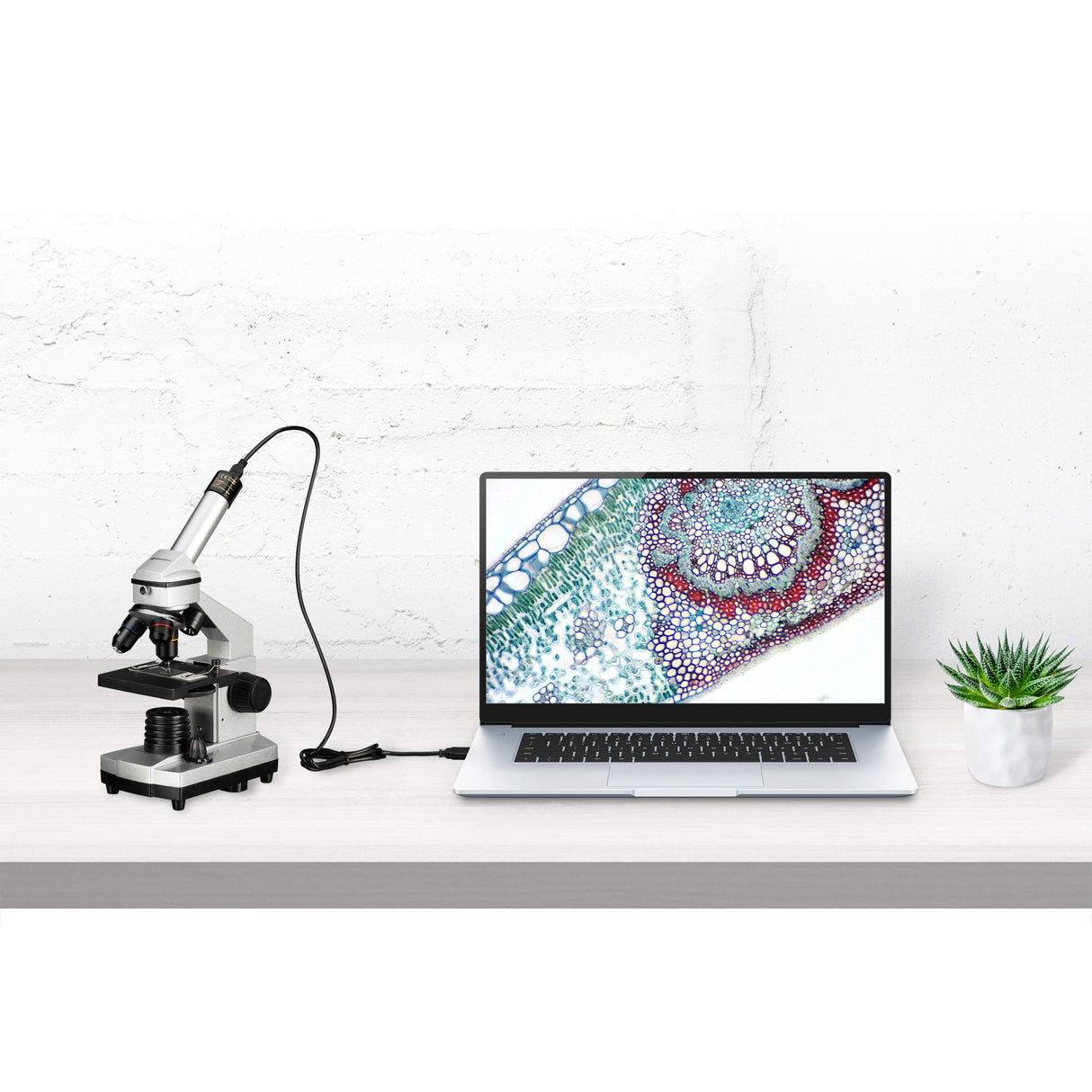 Bresser JUNIOR 40x-1024x Microscopio Set, negro, plata