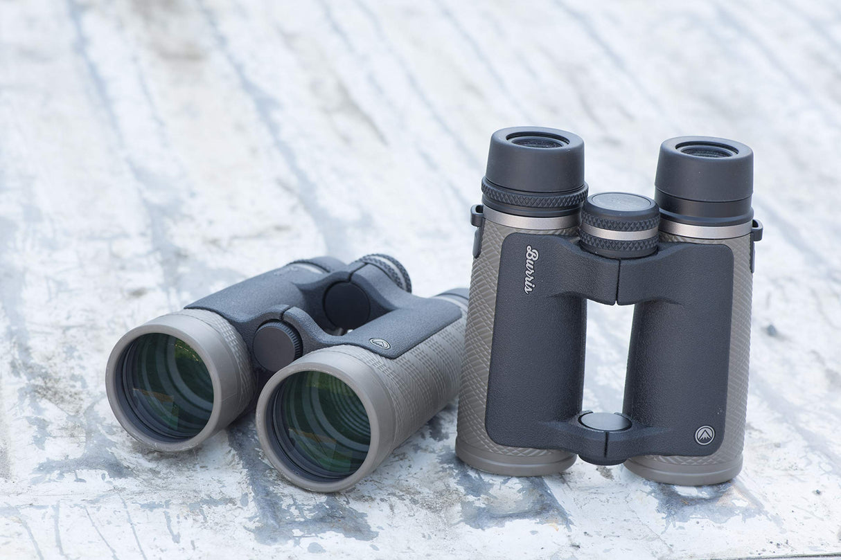 Burris 300292 Signature HD Binocular, 8 x 42 mm, Prisma de Techo, Color Negro