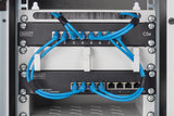 DIGITUS Gigabit Ethernet Switch - 10 pulgadas - 8 puertos - L2+ Managed - VLAN, Link Aggregation & Port Control - Negro