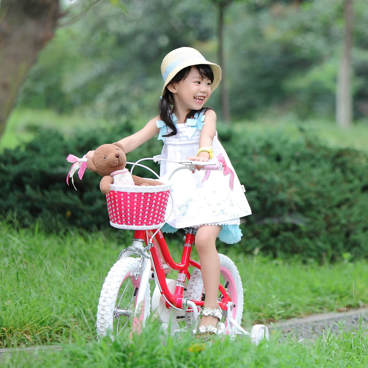 Royal Baby Stargirl Bicicletas para niños, Rosa, 12 Inch