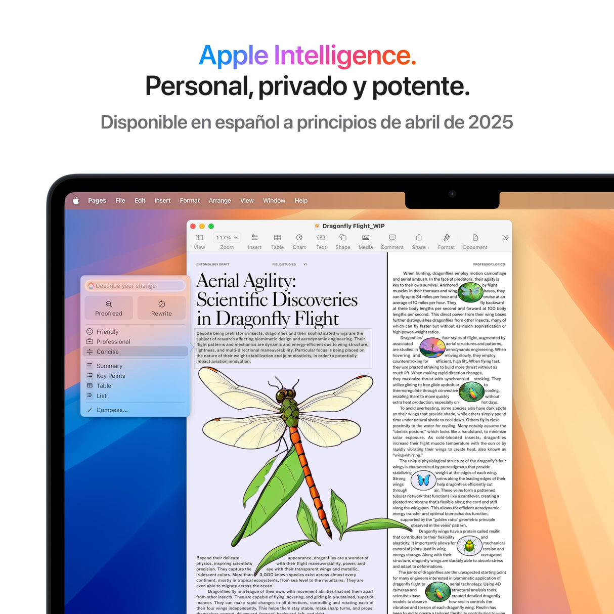 Apple 2025 MacBook Air de 13 Pulgadas con Chip M4: diseñado para Apple Intelligence, Pantalla Liquid Retina de 13,6 Pulgadas, 16 GB de Memoria unificada, 256 GB SSD, Teclado español; Medianoche