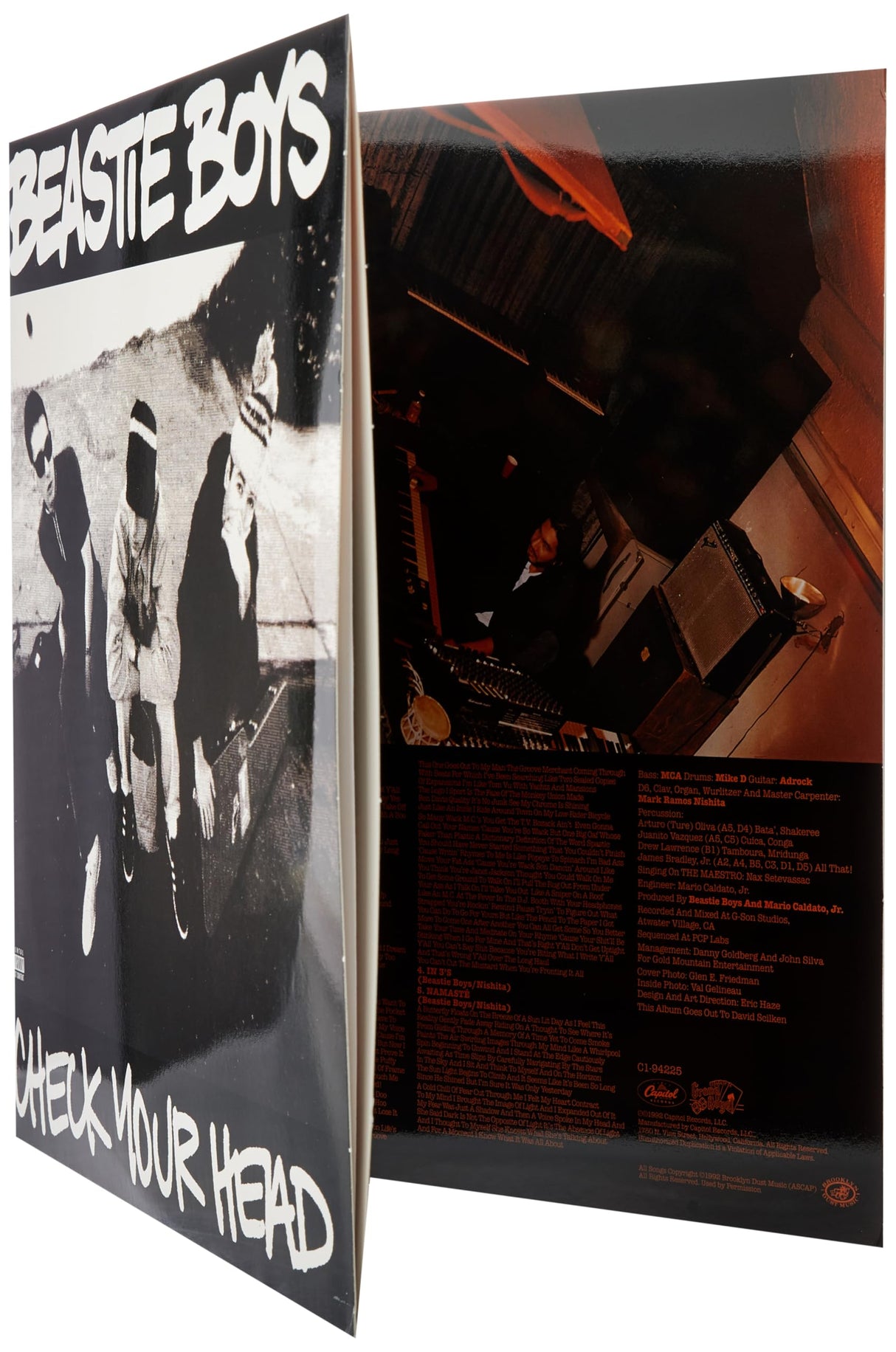 Check Your Head - Remaster Lp2 [Vinilo]