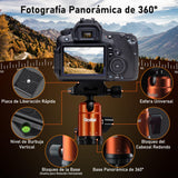 Rollei Tripode Camara Naranja, 145cm Compact Traveler No.1 Carbon Trípode de Viaje Ligero y Portátil con Soporte para Teléfono y Rótula de Bola para Nikon Sony Canon, Trípode-Cámara-Viaje-Tripod