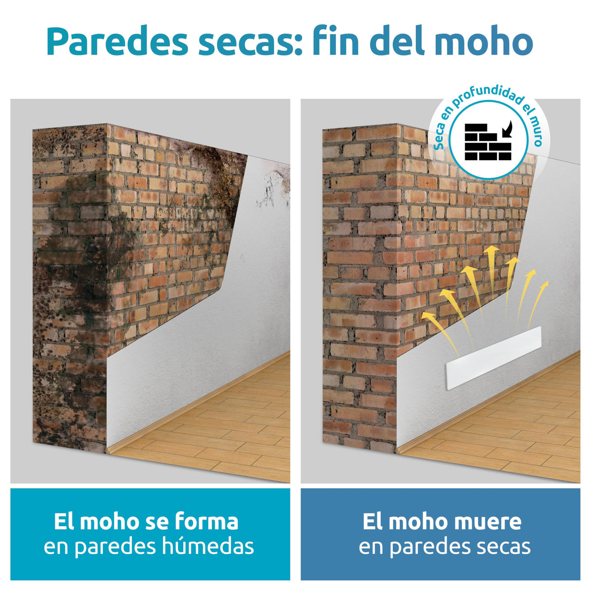 ELIAS Eliminador de Moho. contra el Moho, Seca los Espacios húmedos y Absorbe el Moho de la Base de la Vida. Sostenible y sin Productos químicos tóxicos