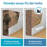 ELIAS Eliminador de Moho. contra el Moho, Seca los Espacios húmedos y Absorbe el Moho de la Base de la Vida. Sostenible y sin Productos químicos tóxicos