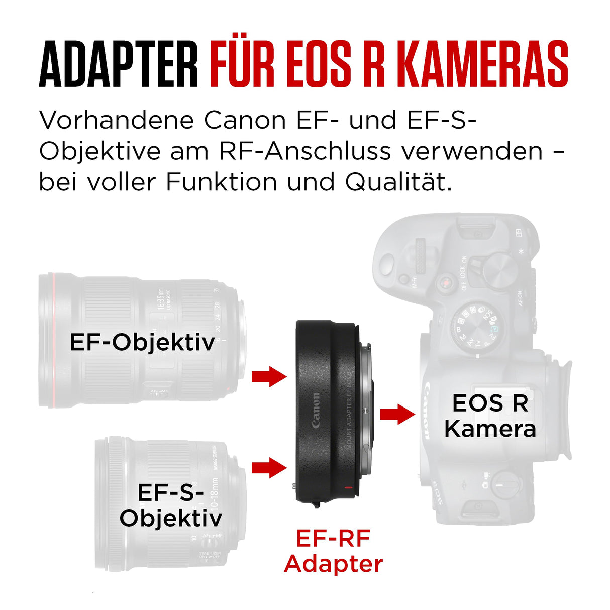 Canon EF-EOS R - Adaptor Montura para Objetivos EF y EF-S, Color Negro