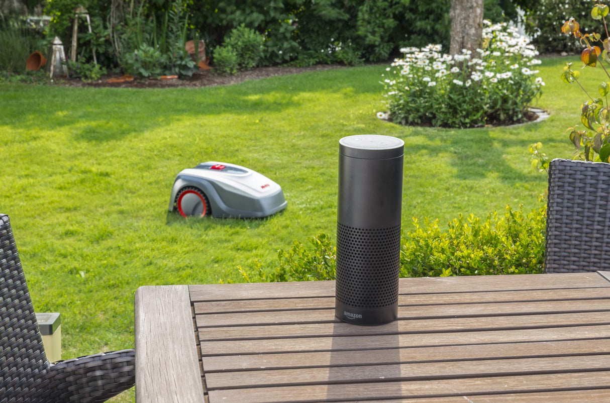 AL-KO Robot cortacésped Robolinho 800 W, Ancho de Corte de 22 cm, batería de Ion de Litio (2,5 Ah/máx. 20 V), Superficies de césped hasta 800 m², Capacidad de Subida hasta 45%, silenciosa 60 dB(A),