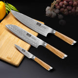 HOSHANHO Damasco Set Cuchillo 3 Piezas, Profesional Set Japoneses de Acero Damasco de 67 Capas, 20cm Cuchillo de Cocina, 18cm Cuchillo Santoku, 9.5cm Cuchillo de Fruta