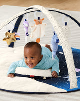 Skip Hop- Celestial Dreams Activity Gym Centros de Actividades, Multicolor (S9J002110)