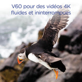 Integral de Tarjeta SD 1 TB UHS-II V60 con velocidades de lectura de hasta 260 MB/s y velocidades de escritura de 150 MB/s. Tarjeta de memoria de alta velocidad profesional SDXC