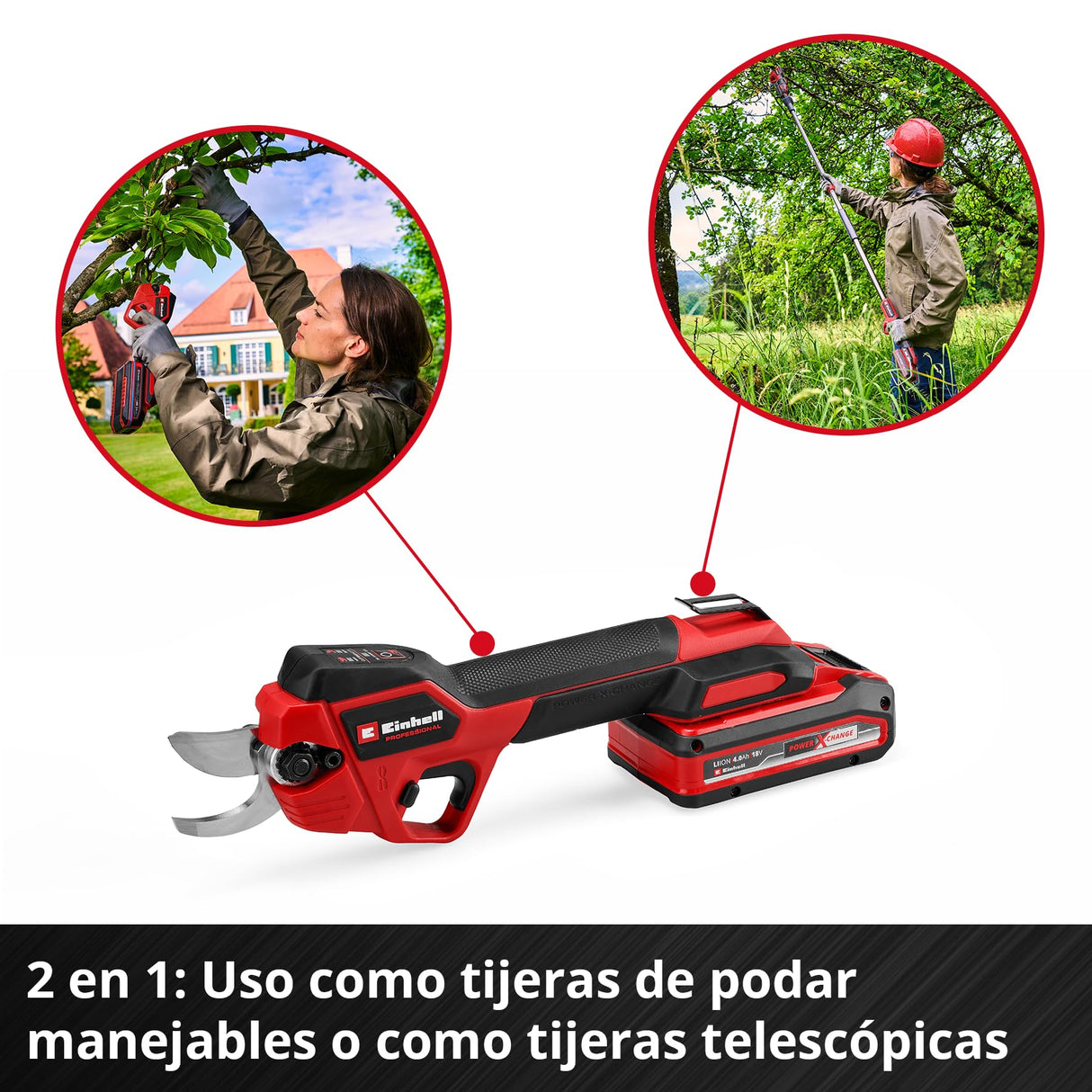 Einhell Professional Tijeras de podar con batería GP-LS 18/28 Li T BL-Solo Power X-Change (18 V, Mango telescópico para Trabajos a 3,8 m, Ramas hasta 28 mm, Cuchillas de derivación, sin batería)