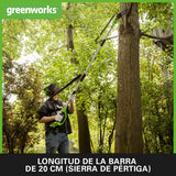 Greenworks G40PSHK2 2/1 Sierra y Cortasetos Pértiga a Batería, Cuchillas renovadas, Barra 20 cm, 51 cm, Cuchillas Doble Acción, Batería 40 V 2 Ah y Cargador