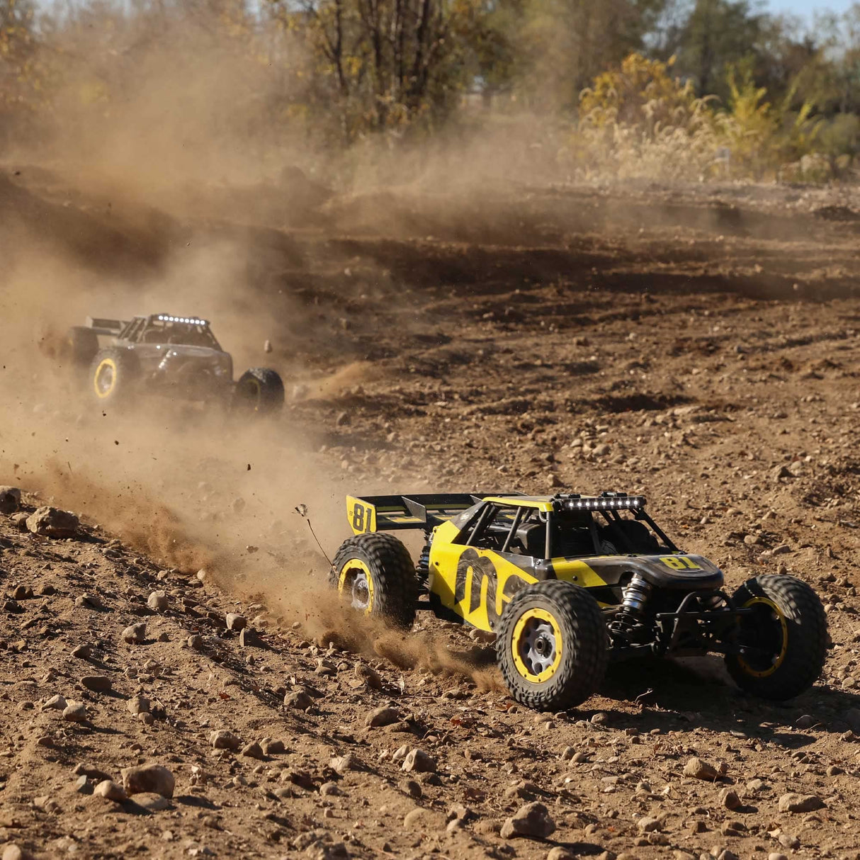 LOSI DBXL 2.0: 1/5 4wd Gas Buggy RTR - MAGNAFLOW