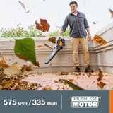 WORX Aspirador de Hojas 40V Máx. 2x20V | WG583E.9 | PowerShare | Sin batería ni Cargador |2 en 1 Recoger y aspirar – Bolsa de 35 L | Incluye Toberas | Ligero
