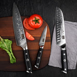 SHAN ZU 3 Piezas Juego de Cuchillo de Cocina Damasco, Set Cuchillo de Cocina Japones de Acero Damasco de 67 Capas, Cuchillo de Chef Cuchillo Santoku Cuchillo Pelador - PRO Series