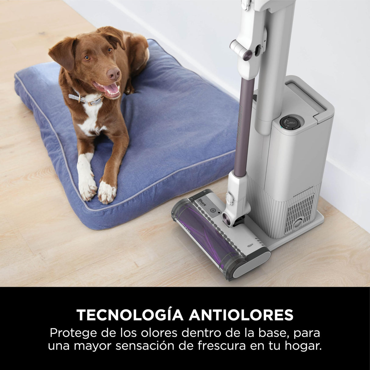 Shark Detect Clean & Empty Aspiradora sin Cable y sin Bolsa, tecnología Dirt Detect y Base de autovaciado de 2 l, 60 min. de autonomía, Anti Hair Wrap y Boquilla Estrecha y Cepillo, Blanco, IW3613EUT