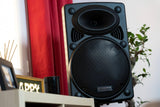 DYNASONIC - DYNAPRO 10 Plus Altavoz Bluetooth Portatil Profesional, Altavoz Bluetooth Potente 500W 2 microfonos Karaoke y Soporte Tablet