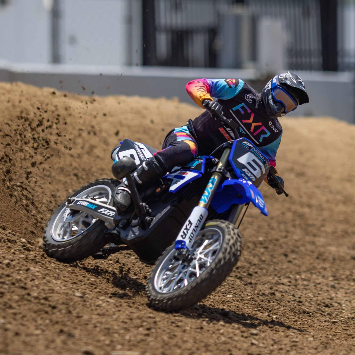 LOSI RC Promoto-MX 1/4 Motorcycle RTR (Battery and Charger Not Included), ClubMX, LOS06000T2, Blue