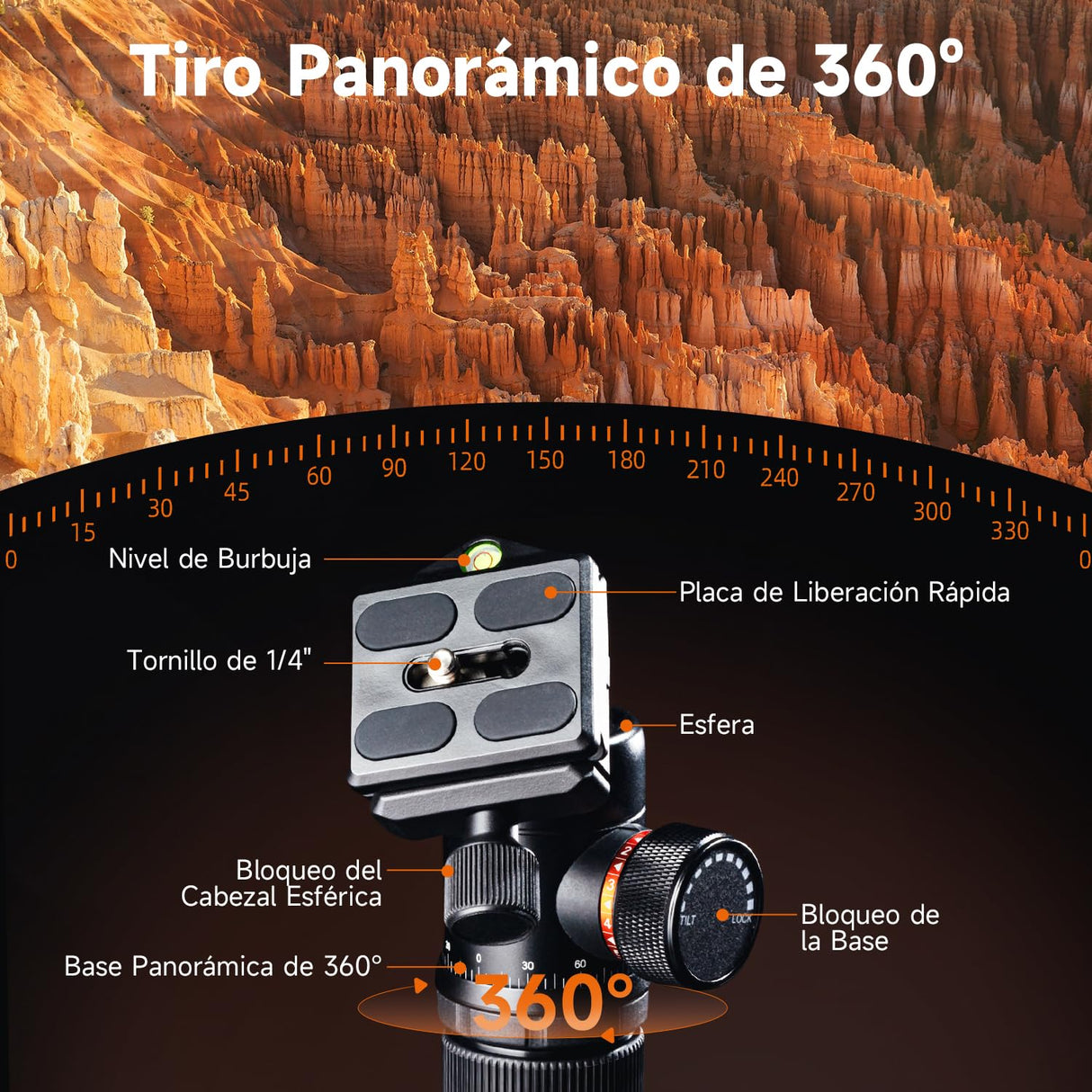 Rollei C6i Tripode Camara Nergo, 172cm Tripode Carbono Fotografia de Viaje Portátil con Cabezal Esférico de 360° Camera Tripod para Sony Canon Nikon Trípode Móvil con Soporte para Teléfono