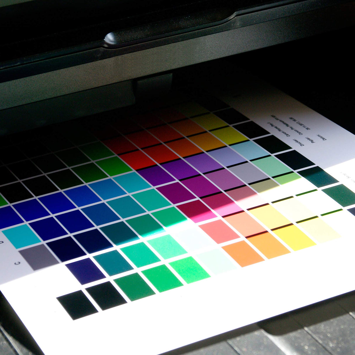 Datacolor SpyderPrint - Carta de Color