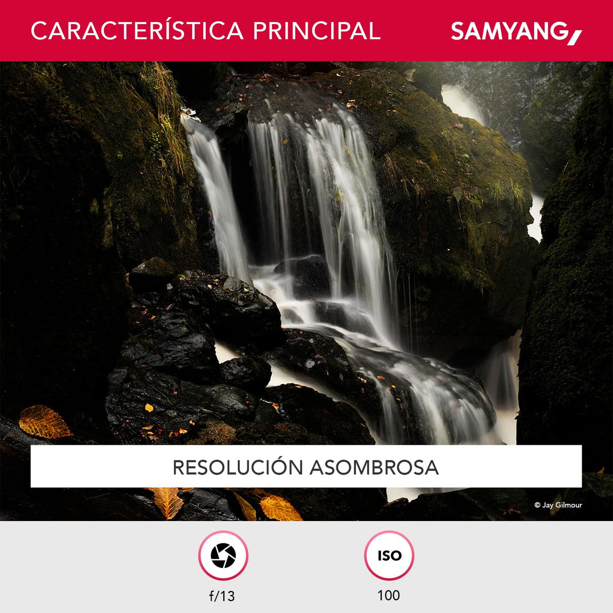 Samyang AF 50 mm F1,4 II FE para Sony E – Objetivo de enfoque automático estándar para cámaras de sistema sin espejo de Sony, sensores de formato completo y APS-C, adecuado para grabación de detalles