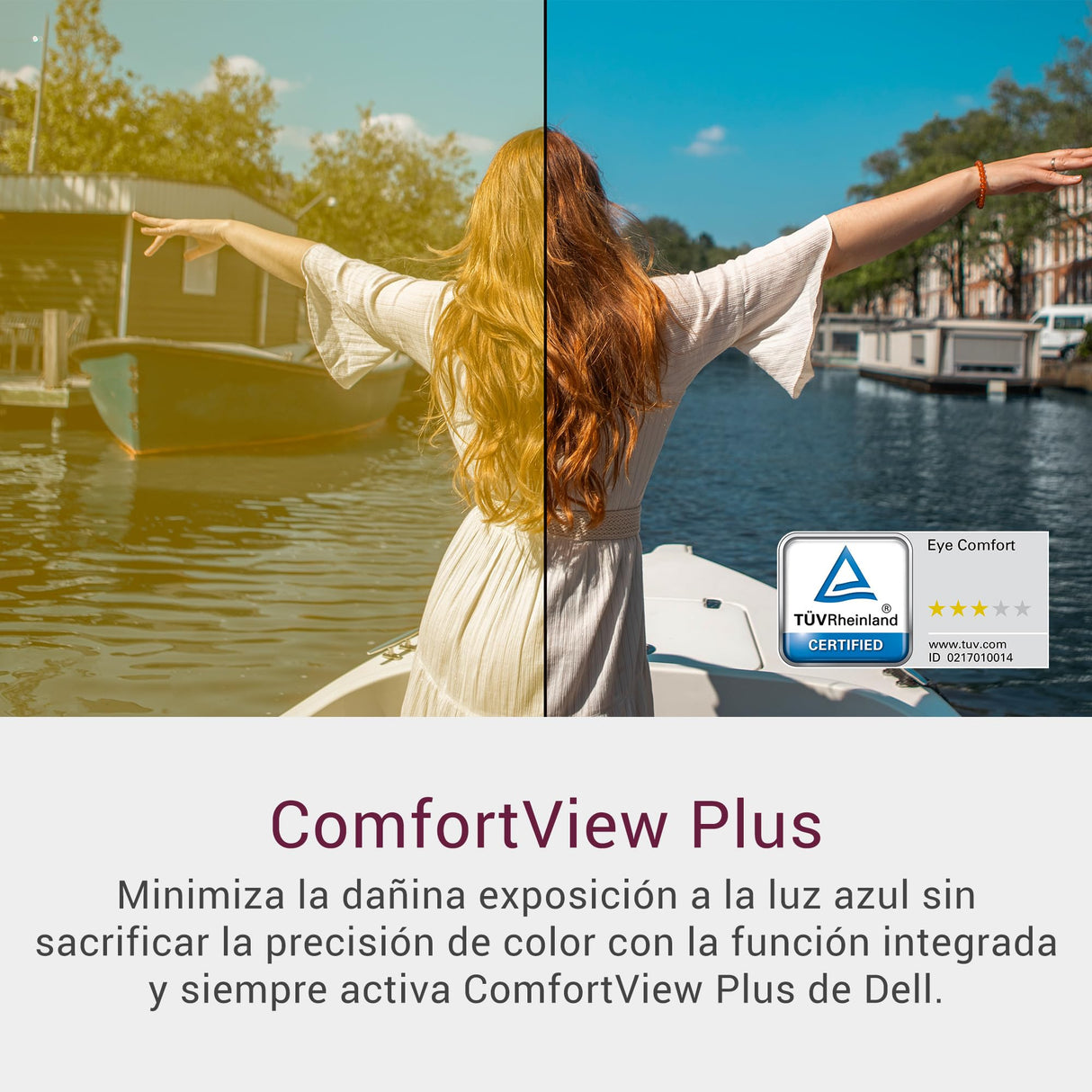 Dell 27 Monitor - SE2725HM, Full HD (1920x1080), 100Hz, IPS, 5ms, VESA (100x100mm), HDMI, VGA, 3 Años de Garantía, Negro