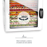 Lacor - 69524 - Deshidratador de Alimentos Dry, Gran Capacidad 14 Bandejas, Puerta Vidrio Transparente, Ventilador Silencioso, Protección Sobrecalentamiento, Uso Profesional, Acero Inoxidable, 1000W
