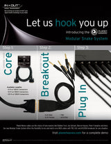 Planet Waves Modular Snake Cable - TRS Breakout - Accesorios para Instrumentos Musicales (PW-TRSB-01)