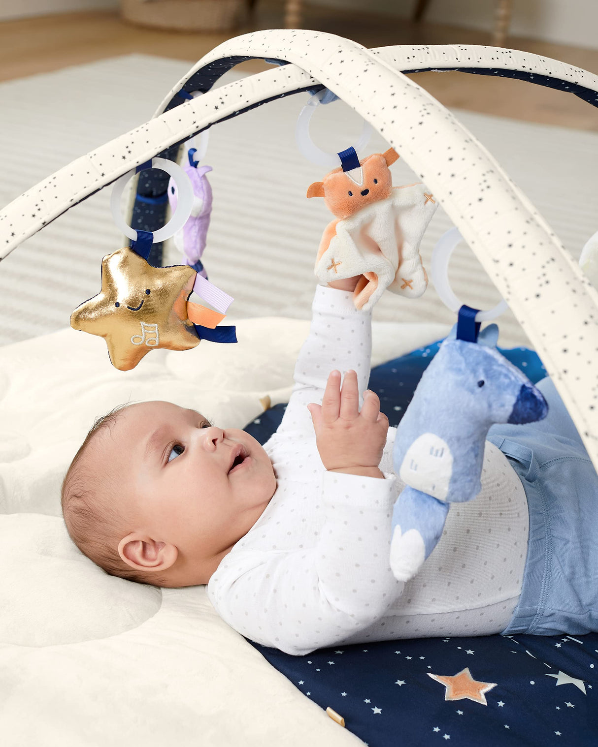 Skip Hop- Celestial Dreams Activity Gym Centros de Actividades, Multicolor (S9J002110)