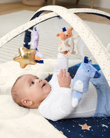 Skip Hop- Celestial Dreams Activity Gym Centros de Actividades, Multicolor (S9J002110)