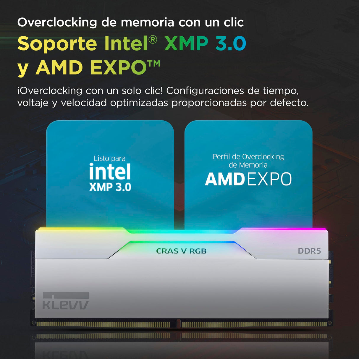 KLEVV CRAS V DDR5 RGB 48GB (2X 24GB) 8000MT/s CL38 Memoria RAM Gaming Kit XMP 3.0 Alto Rendimiento Overclocking 38-48-48-128– Juega más rápido con un CL38 ultrabajo