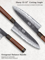 HOSHANHO Juego de Cuchillos de Cocina, Juego de 3 Piezas de Cuchillos Japones de Acero de Alto Carbono, Cuchillo de Chef Cuchillo Santoku Cuchillo para Pelar, Mango Ergonómico de Palisandro