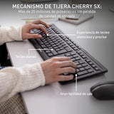 CHERRY STREAM DESKTOP RECHARGE, Pack de Teclado y Ratón Inalámbricos, Distribución de Teclado Suizo (QWERTZ), Radiofrecuencia 2,4 GHz, Teclas Silenciosas, Recargable, negro