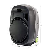 Ibiza - PORT12VHF-MKII - Altavoz portátil 12"/700W MAX con 2 micrófonos (VHF), mando a distancia y funda protectora - Bluetooth, USB, SD - Autonomía de 5 a 7h