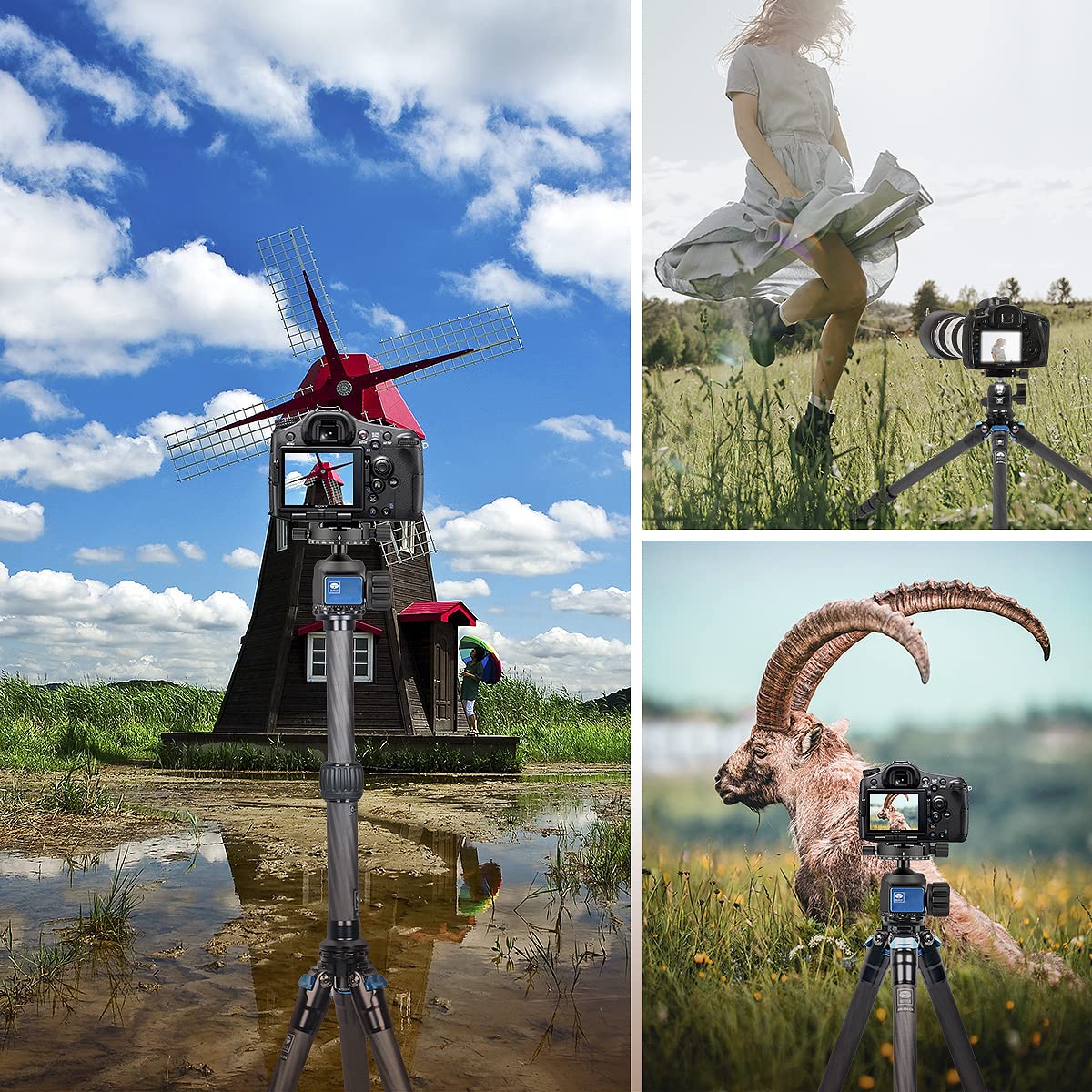 SIRUI 152cm Trípode de Viaje AM-284, Compacto Trípode para Cámara con Tubo de Extensión SL-200, Carbono Trípode Fotográfico con Patas de 4 Secciones para Videocámara, DSLR, Carga Máxima 15kg